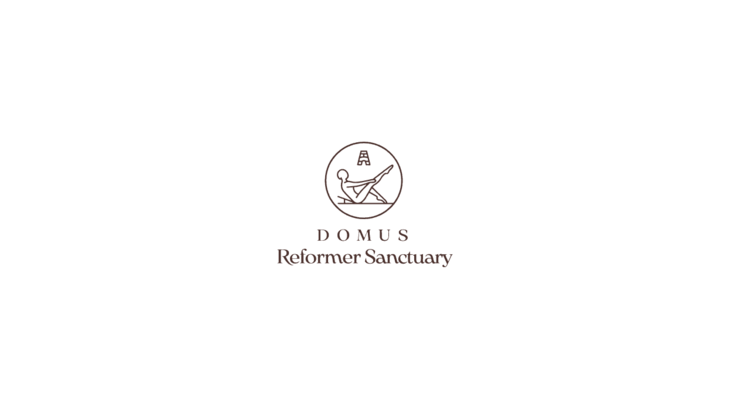 Domus Reformer Sanctuary